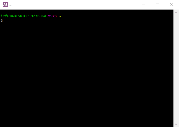 MSYS terminal with command prompt.
